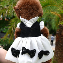 2022¿͹źձLڰȹӌﹷ̩ϱСȮ·b