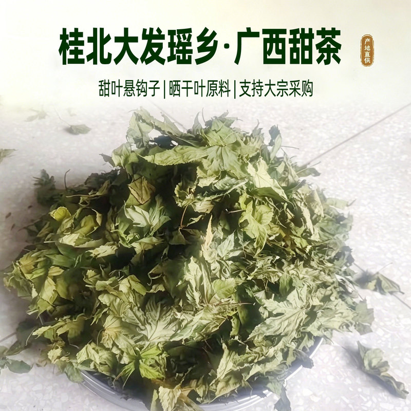 Guangxi Sweet Tea Dried Leaves, Sweetleaf Cudrania, Direct Supply from Origin, Bulk Wholesale, Raw Material Extraction, Large Quantity Supply