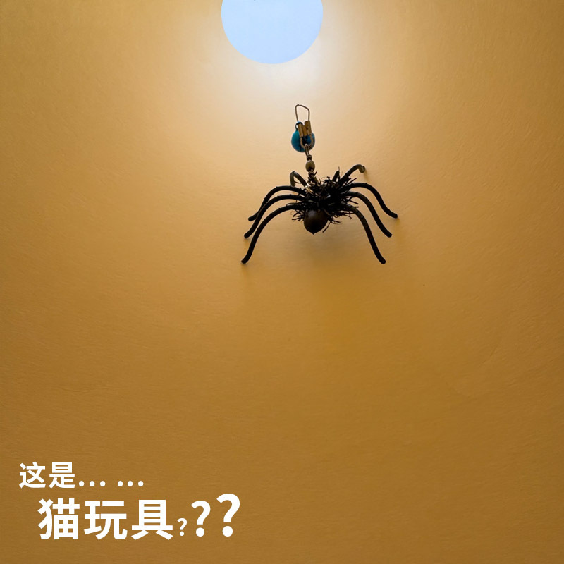 Cat Teaser Wand Replacement Head Luminous Spider Halloween Cat Toy Pet Toy Accessories Wholesale Original Design