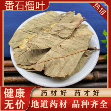 番石榴叶散装鸡矢茶包番桃叶中药材红心番石榴叶子加工超细粉大货