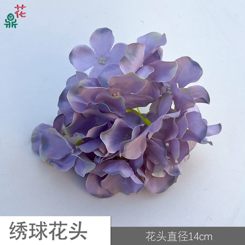 42 수국 머리 YY 녹색 가장자리 보라색