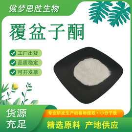 覆盆子酮 树莓酮 树莓提取物 覆盆子粉 食品级覆盆子提取物