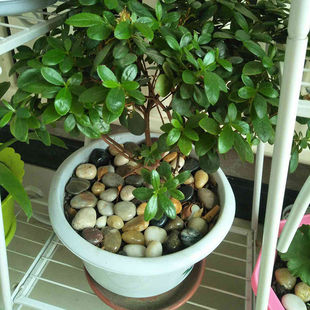 �����~�������b�Ʒ�껨�[ʯ�Z��ʯ �����b���Ʒ��ɫɰʯ�Z��ʯ