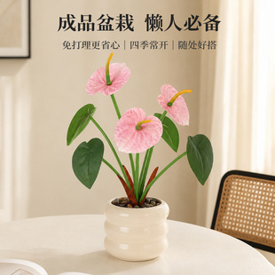 �ٻ����滨�[���͏d�������P�҃ȾGֲ���Է���޹�²��b羳����