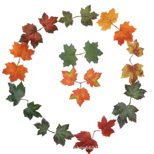 �S�����l ������~�Gֲ�������ղ��õ���diy����ֲ���b��¿�羳