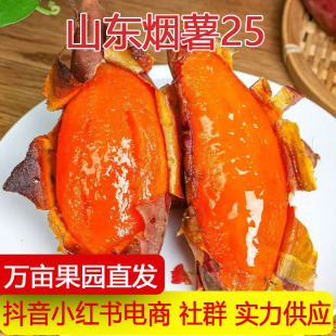 �a��ֱ�lɽ�|����25̖���t���������ǻ��F�ڬF�l���ع�һ�����l