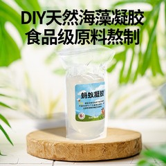 Kedaya Children's Ant Base Ecological Workshop Live Animal Insect Observation Box Camponotus Queen Ant Kindergarten