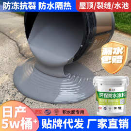 加工定制屋顶防水涂料大面积补漏液体卷材堵漏王防水聚氨酯防水