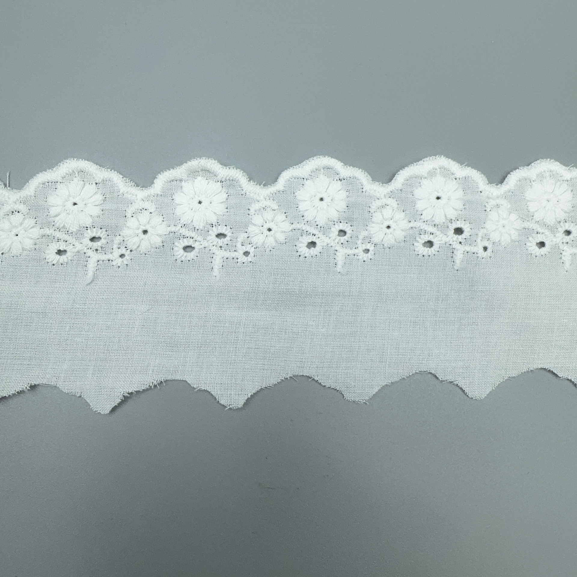 微信图片_20250309091636