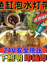 ?�ŷ��~���~��ˮ��led�􎧵͉�24V���Ĺ��z���l��ճ�����ˮ