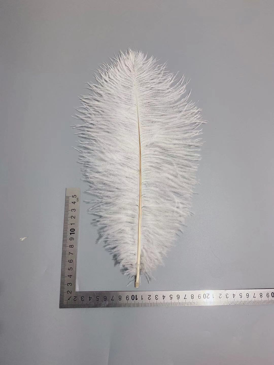 d24846285c9d79875a849305a00878