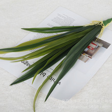 �����ָ��m���~ �������zޥ�m�~ �廨��� �Ҿ��b� ����Gֲ����