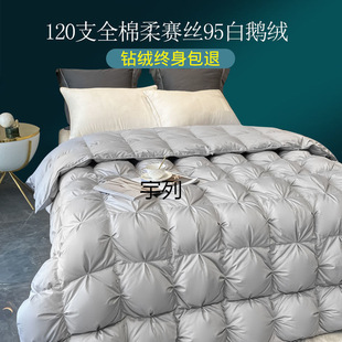 YL high-grade down quilt 95 white goose down winter quilt thickened warm single double 1% goose down spring and autumn quilt core