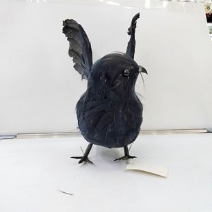 �羳Դ�^���S���������ɫ��ëС���f���f�}�����f������f