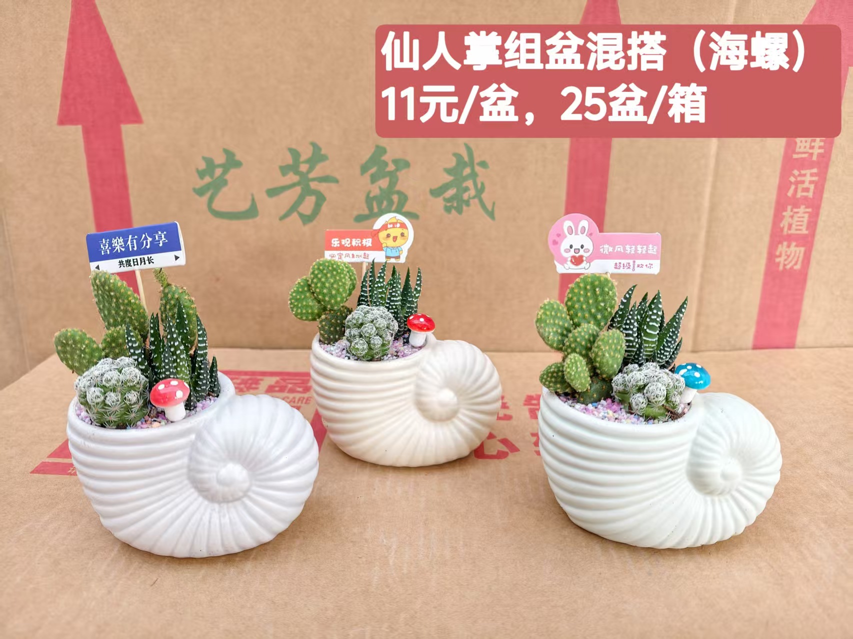 Cactus combinación de vidrio cerámico base de guangzhou venta directa factura boleto especial soporte de cotización de tres partes fábrica directa