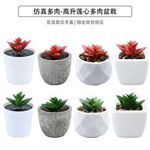 现货仿真多肉高升莲心盆栽桌面摆件礼品迷你绿植盆景TEMU仿真植物