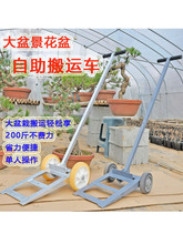 �����辰�������԰��\�ք�Сƽ����܇��݆��ʯ����\܇����