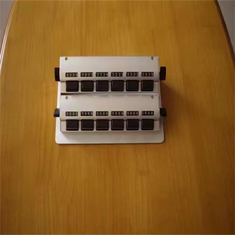 交通流量计数器(12单元)  型号:LZY-GF  库号：M279066
