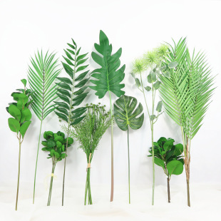 WLGֲ~bL~ȼ~廨bֲ