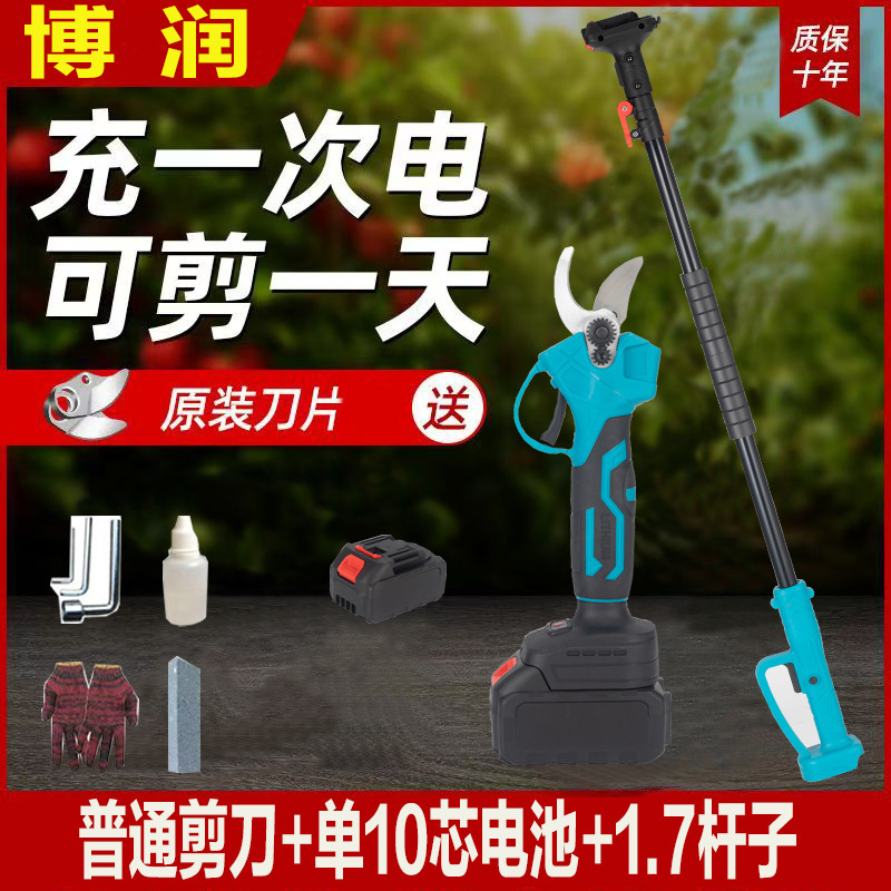 プロの国境を越えた電動剪定鋏、リチウム電池剪定鋏、庭の果樹の果実の枝はさみ、園芸の枝剪定電動工具|undefined