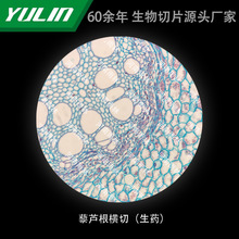 ޼�J���M�У���ș����У�t�WԺУ�ýM������ʯϞ��Ƭ�˱��@΢�R