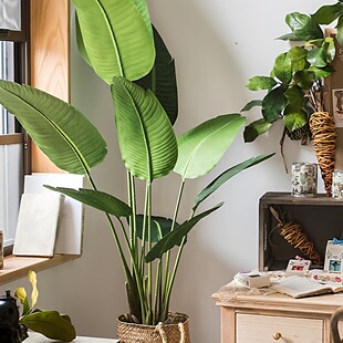 ���˽����͟Ꭷֲ���辰�Ž�������g�b�ˇ�쾰