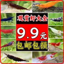 �^�p�r���w���﹤���r��ˮ�����r�ѻ��r�O���r�S�����rˮ���r�ײ�