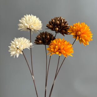 ��Ȼ�ֹ��ɻ����������������m��̫ꖻ��滨�ҾӔ[����ϏS�����l