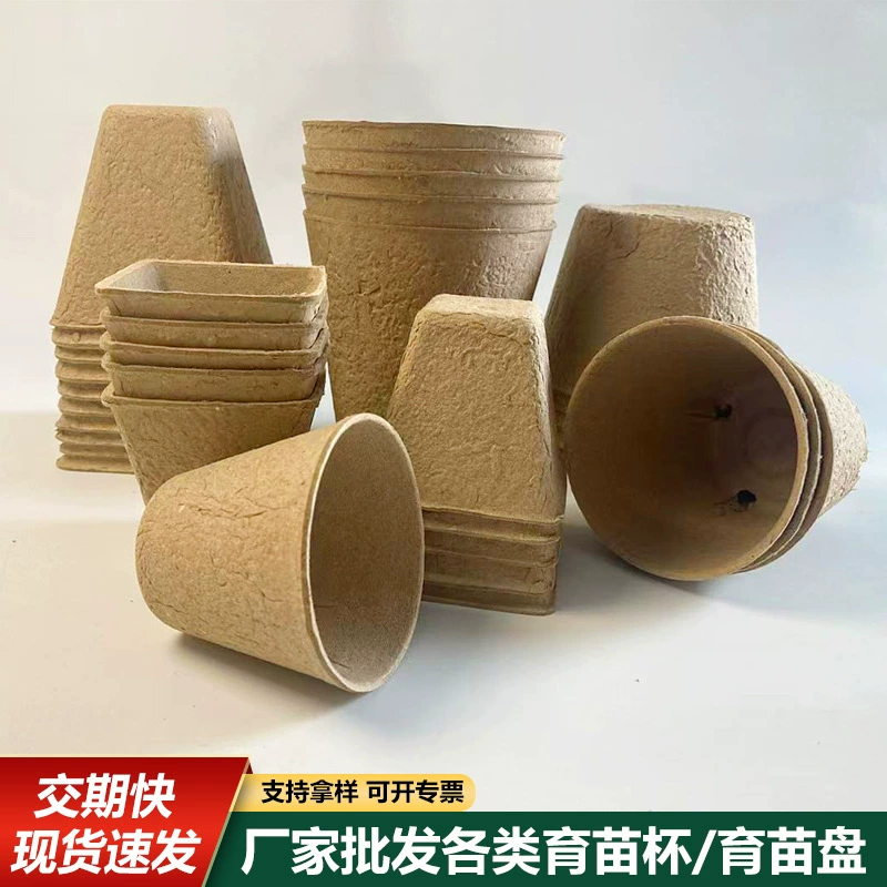 Оптовая продажа мякоть с отверстиями для рассады чашка питания миска мясистые семена прорастают одноразовые разлагаемые цветочные горшки