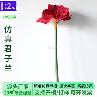 �羳���l��֧��피t ��������m��ˇ�ٻ�pu��c�bƵ��̈��쾰