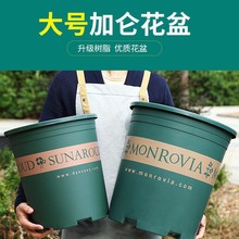 加侖盆批發創意綠植加厚控根盆陽台綠蘿盆栽月季樹脂塑料花盆栽花