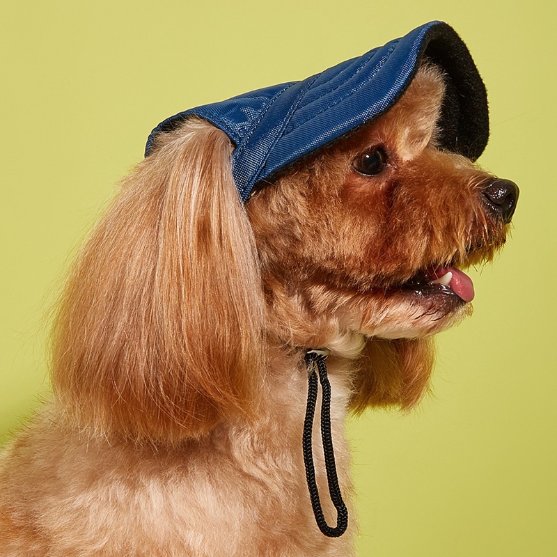 Simple Style Polyester Cartoon Pet Hat display picture 8