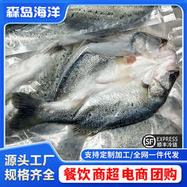 开背鲈鱼新鲜冷冻深海鲈鱼海鱼七星卢鱼烤鱼半成品商用海鲜批发