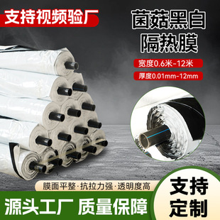 Mushroom Black and White Insulation Film Reflective Sun Protection Insulation Film Mushroom Planting and Breeding Shading Pe Greenhouse Film