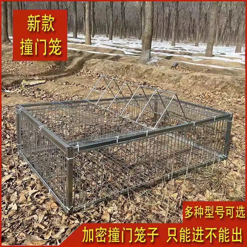 新款加密只进不出鸽子笼天落笼户外撞门笼全自动收鸽笼捕鸽子神器|undefined