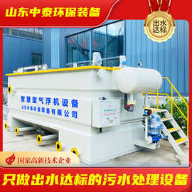除磷净化装置污水处理设备溶气气浮机 养殖/河道治理/化工气浮