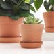 Factory direct red pottery flowerpot fleshy flowerpot ceramic flowerpot breathable water absorption strong red clay flowerpot