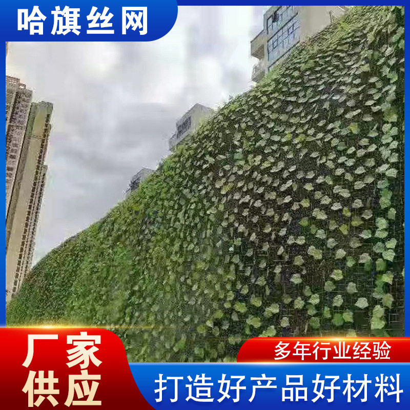 Ventas de fábrica Red de hoja verde Protección de pendiente de mina Red de tratamiento de pendiente de suelo complejo Red de protección de pendiente de hoja verde a prueba de polvo Red de protección de pendiente de hoja verde