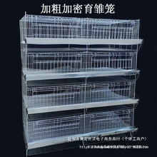 ӴּСu\r\ӿȸ\4һwʽruСuСZ