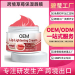 外贸工厂贴牌加工定制跨境全英文草莓保湿如唇膏OEM 亚马逊出口
