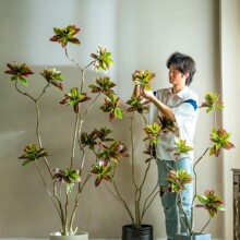 ���ͷ���Gֲ׃�~ľ�҃ȿ͏d������Է���ֲ���쾰�^�٘��b[��