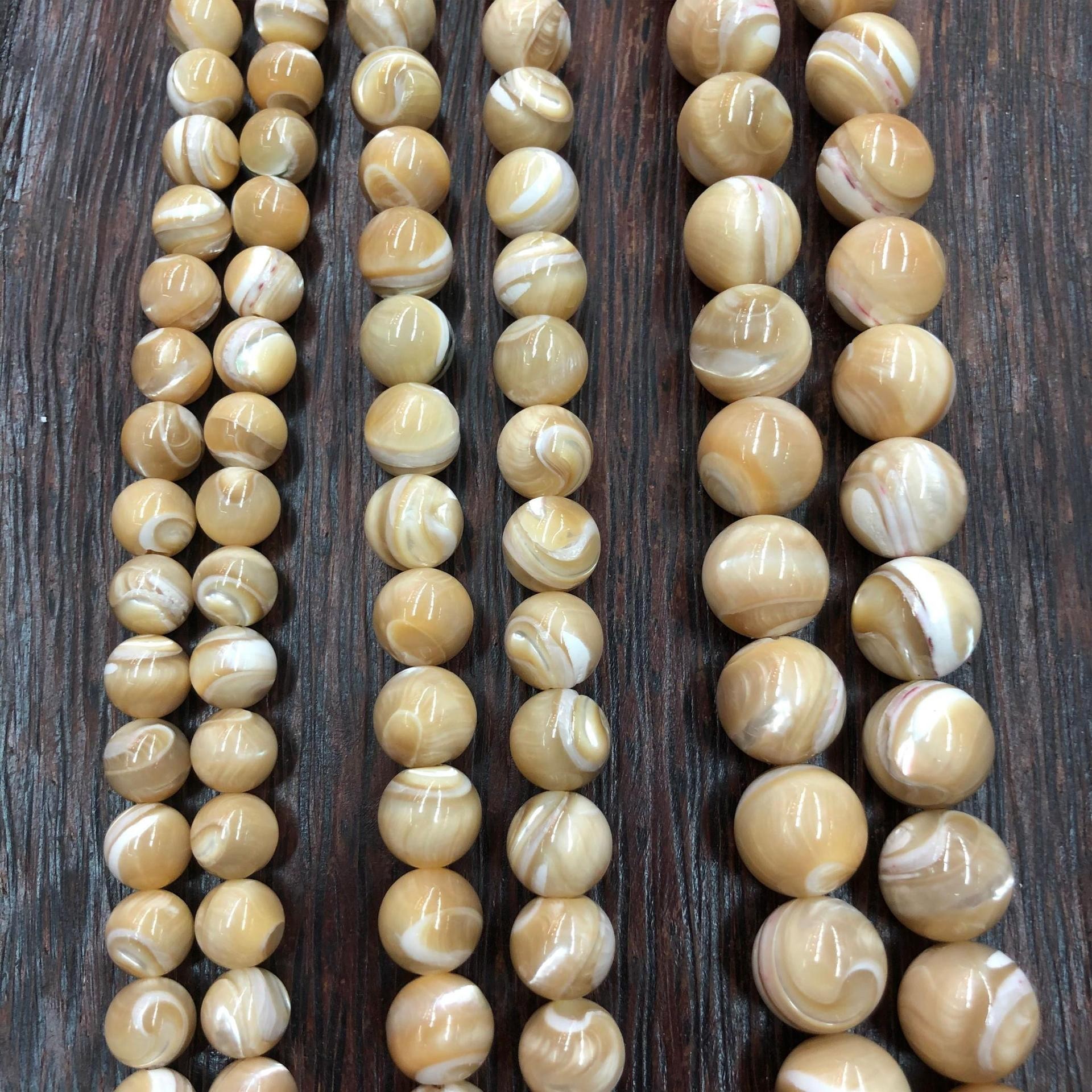 【马蹄螺】圆珠本色