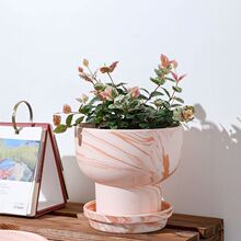 �����t�վW�t��͸�⺆�sins�L�����m�G�}�մɻ����ڏ���ˮ��