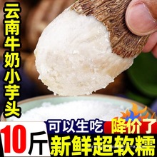 云南牛奶小芋头新鲜蔬菜粉糯红毛芋头槟榔芋当季芋艿香芋农家软糯