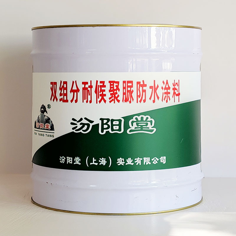 双组分耐候聚脲防水涂料、汾阳堂送货上门、开桶即用