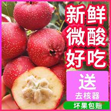 ���rɽ��r�����ɽ�|��ɽ����l���Ǻ��J��ڴ�ɽ髴����