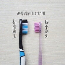 Ӳë��ˢ������С�^���^ˮ�����Գ�����ë��ǻ���t���]��һ�����l