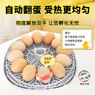 J8 Household Hhd Incubator Small Household Poultry Bird Incubator Model Intelligent Egg Incubator Fully Automatic Incubator G3