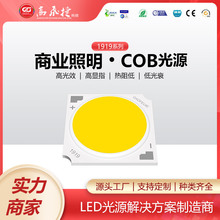 COBԴ 19*19/17 10W-50WԴ 󹦼LED@ָ߹Ч