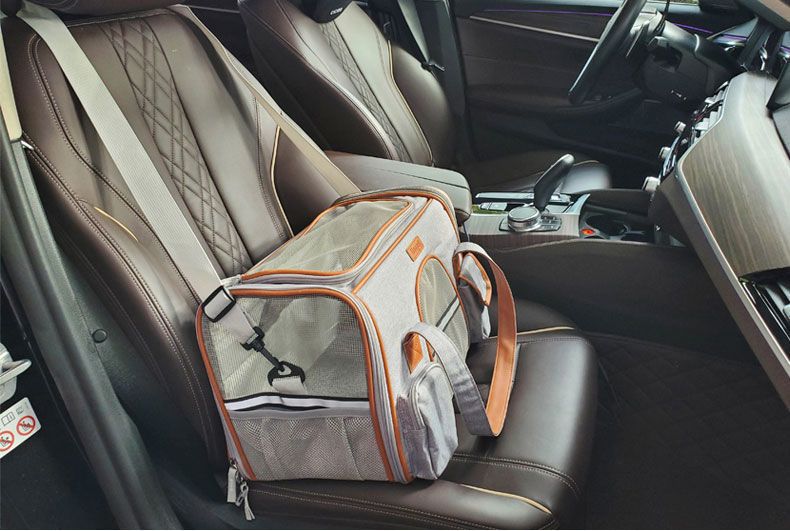 Stylish Pet Carrier